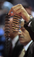 egypt-bullets_2023168i